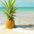 Pineapple Beach