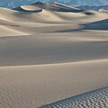 Mesquite Dunes Beauty