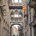 Pont del Bisbe, Barcelona Gothic Quarter, Catalonia, Spain.