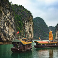 Traditional Vietnamese Junk Sailing Boats on Halong Baby