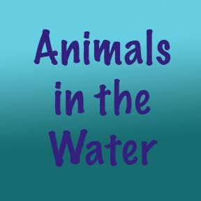 Animals in the Water