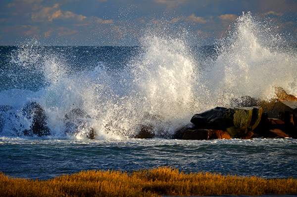 Hand Held - Photography Only - Ocean Photography and Art Group
