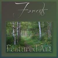Forests Forests