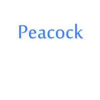 Peacock Peacock