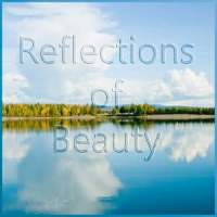 Reflections of Beauty Reflections of Beauty