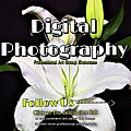 Digital Photography Group - 1 Per Day