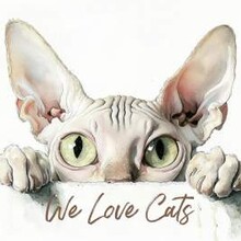 We Love Cats