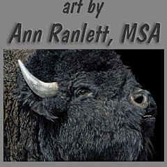 Ann Ranlett