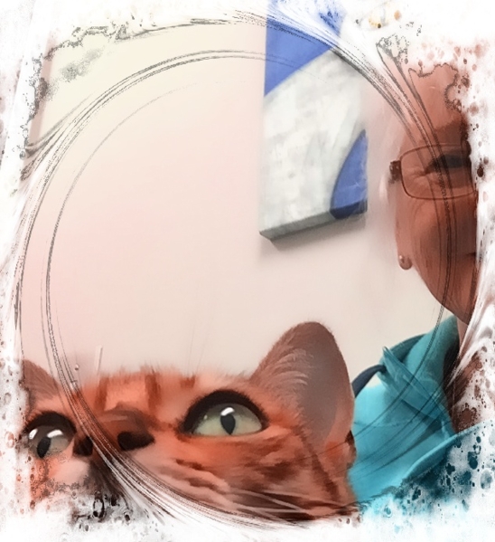 Barbara A Griffin - Official Art Shop | Pixels