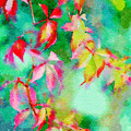 Bright Watercolor Leaves Bright Watercolor Leaves