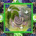 A Glimpse Into Paradise A Glimpse Into Paradise