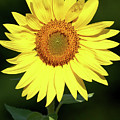 After the Rain There Will Be Sun After the Rain There Will Be Sun
