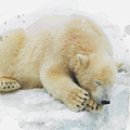 Activity Icon