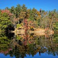 Quiet Moments at Laurel Lake Quiet Moments at Laurel Lake