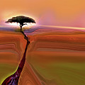 Safari Radiance- Acacia Deep Deep Roots Safari Radiance- Acacia Deep Deep Roots