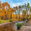South Boulder Creek In Eldorado Springs #2 South Boulder Creek In Eldorado Springs #2
