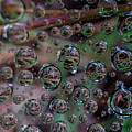 Tiny Magnifiers Tiny Magnifiers