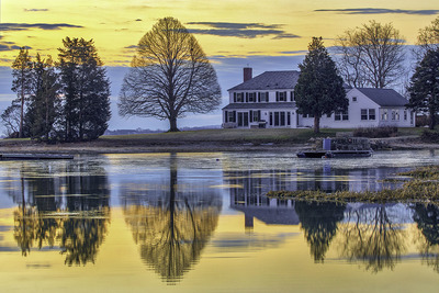Duxbury Perfect Tree Photography Artwork Duxbury Perfect Tree Photography Artwork