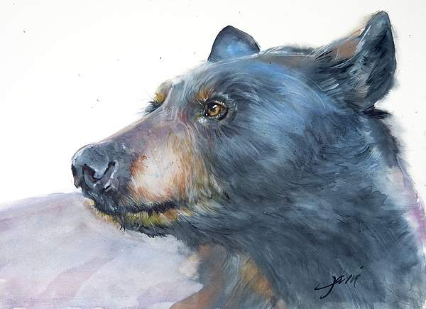 Bears