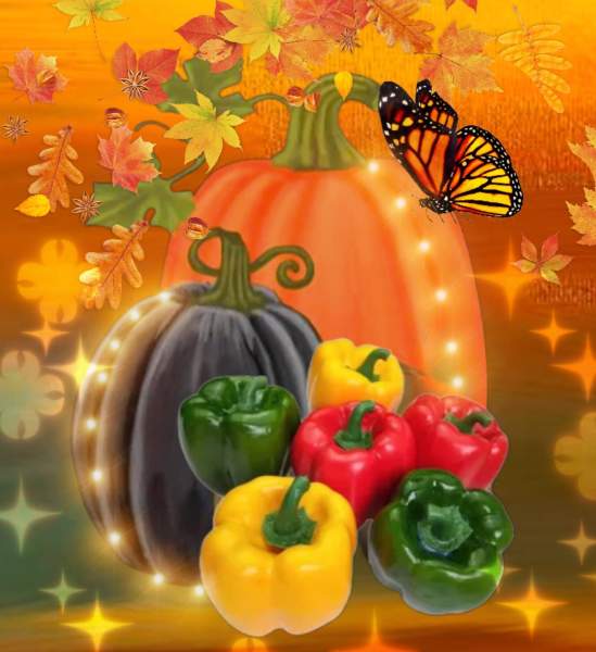 Autumn Pumpkins and Colorful Vegetables Contest