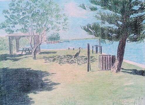 Early Morning Shadows