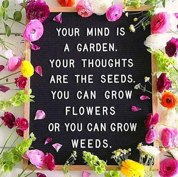 Encouraging Words and Images - Color