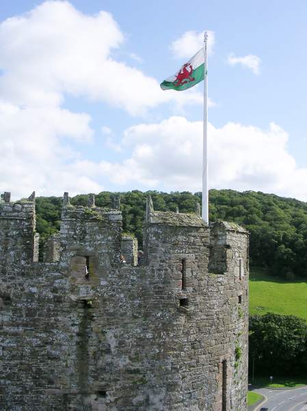 Flying A Flag On Castles Only