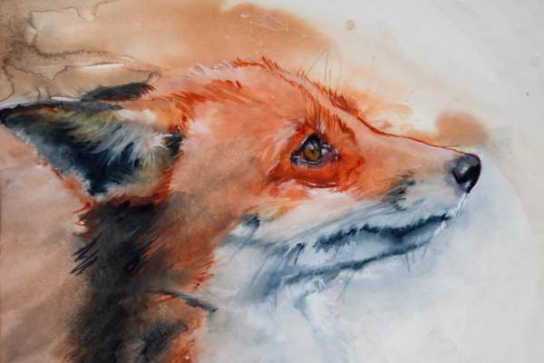 Fox Art
