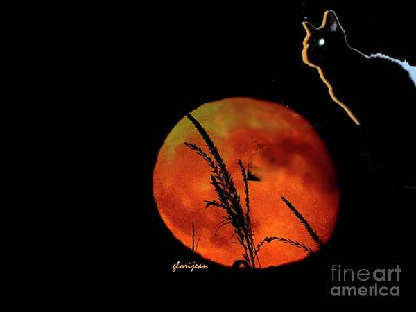 HOWL MEOW MOO MOON Apex