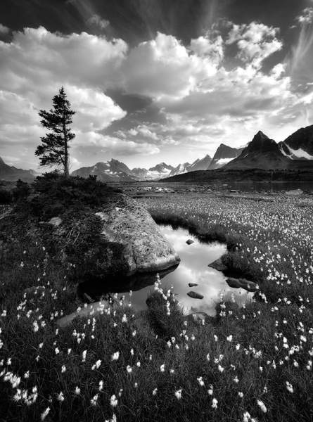 LANDSCAPES - Black and White - Photography ONLY