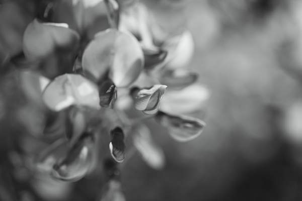 Monochrome Photography Women Only