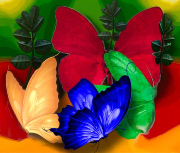 New Logo For Amazing Butterflies And Small Insects  Group