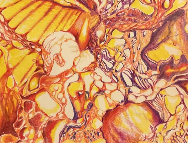 October 2025  -neurographic Art  Group Anniversary- Your Choice