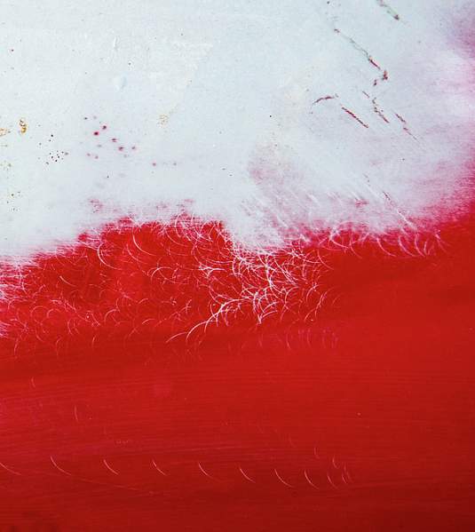 RAW Abstract Photography Looks Like A Paintiing