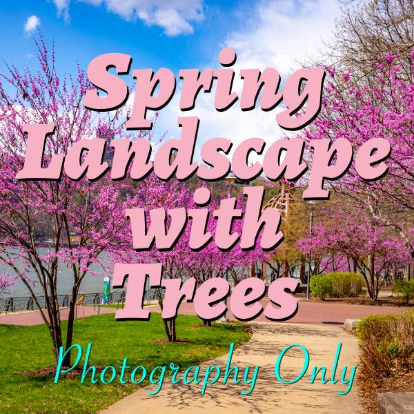 Spring Landscape With Trees Photography Only Online Art Contest | Pixels