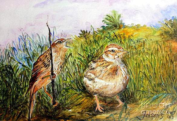 Winged Animal Activities