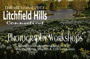 Daffodil Festival Spring 2017 Photo Workshops -...