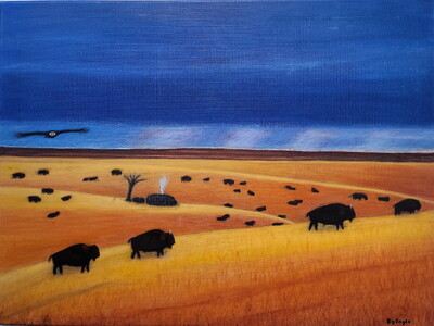 Solo Art Exhibition  -   Duane Bigeagle