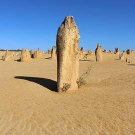 Australia In Pictures