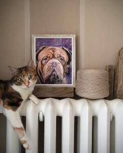 Faa Portraits - Cats And Dogs