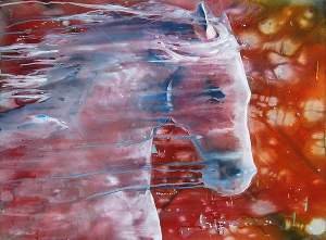 Horse Pictures