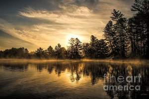 Shadows Silhouettes And Reflections Outdoors