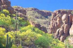 The Majestic Rockies