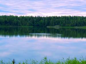 The Meandering Photographer The Meandering Photographer