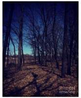 Illinois Art Photography Illinois Art Photography