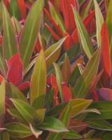 Plantscape Paintings Group Plantscape Paintings Group