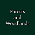 Forests and Woodlands 