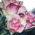 Painted Roses