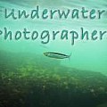 Underwater Photographers